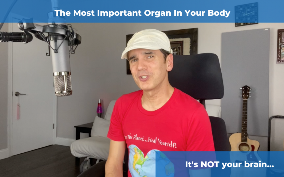 The Most Important Organ In Your Body